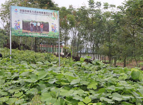 種植基地14