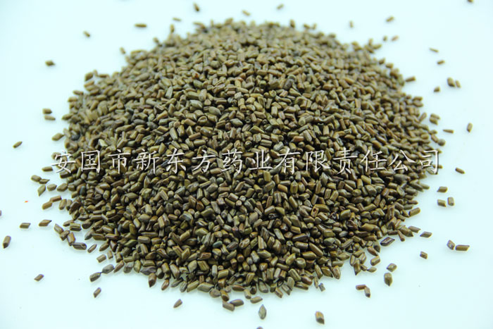 Cassia seed