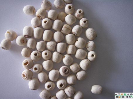 Lotus seed meat