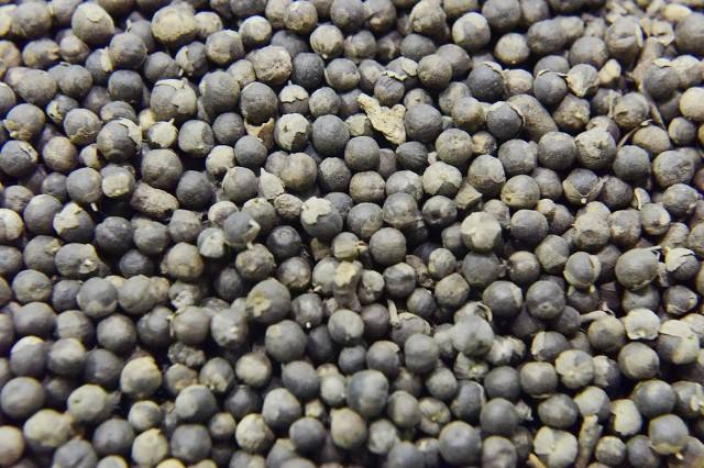 Vitex seed