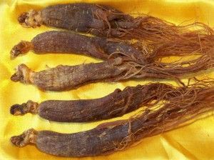 Red ginseng