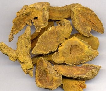 turmeric